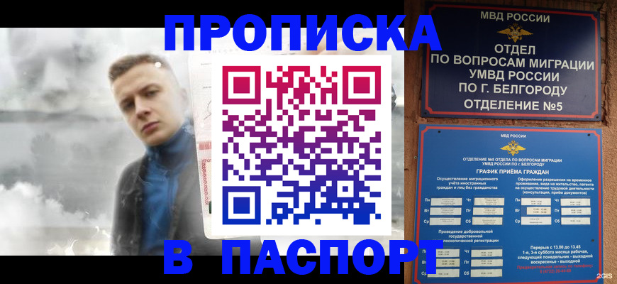 временная регистрация в Элисте
